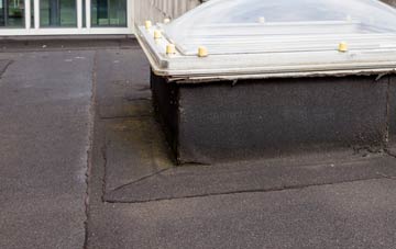 disadvantages of Ford Street flat roofs