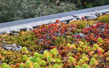 the cost of Ford Street green roof installation