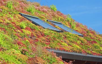 Ford Street living roof systems