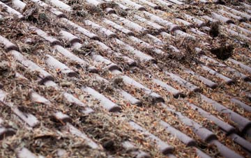 Ford Street roof cleaning companies