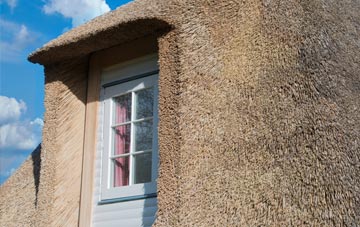 Ford Street thatch roof disadvantages