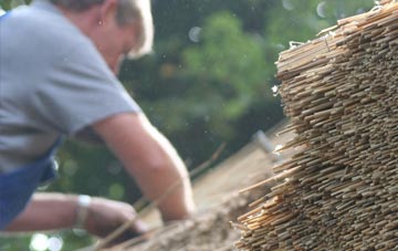 professional Ford Street thatchers