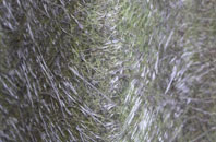 Ford Street fibreglass roof work